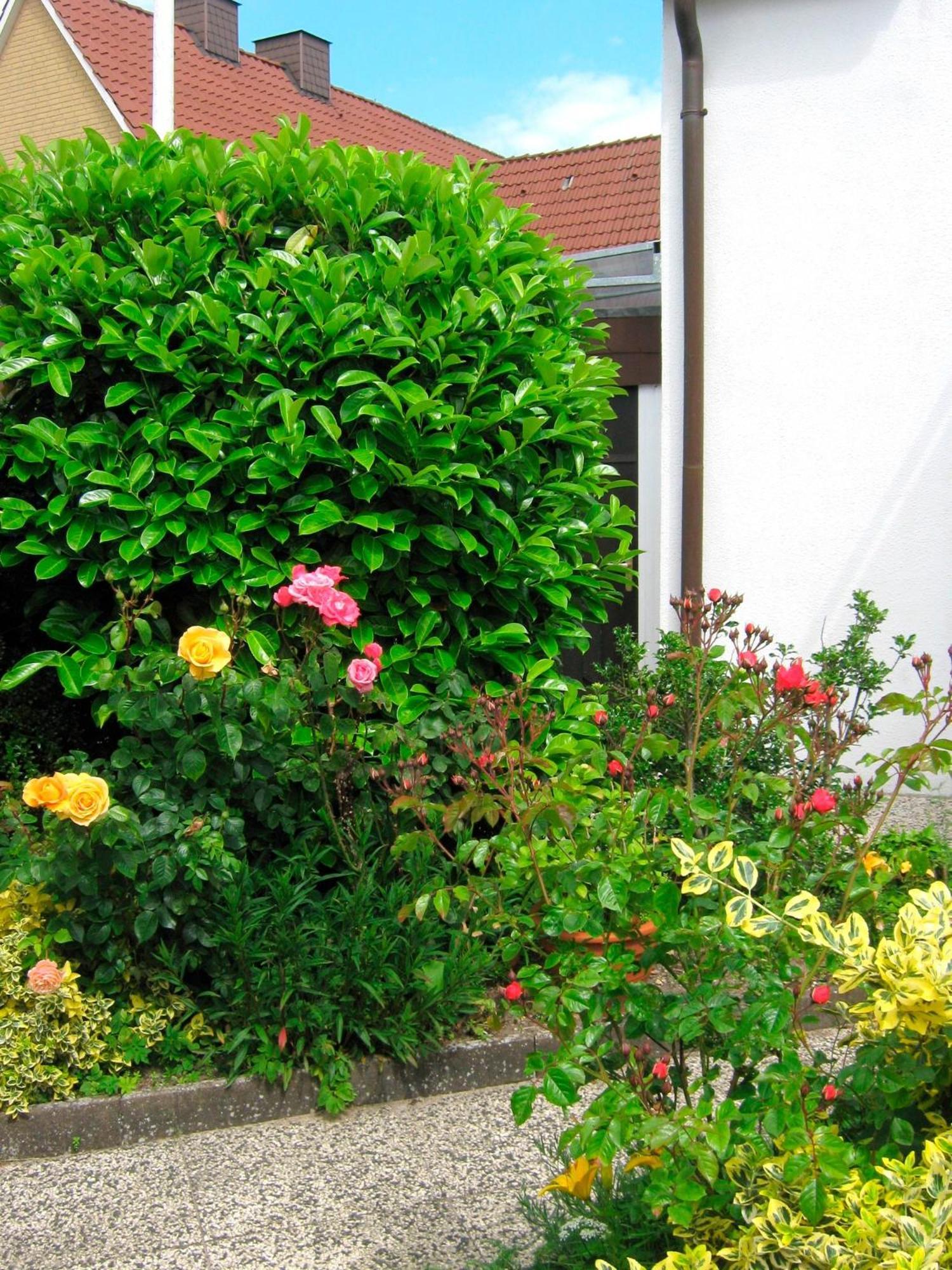 Ferienhaus Marina II - Whg 2 Grömitz Exterior foto